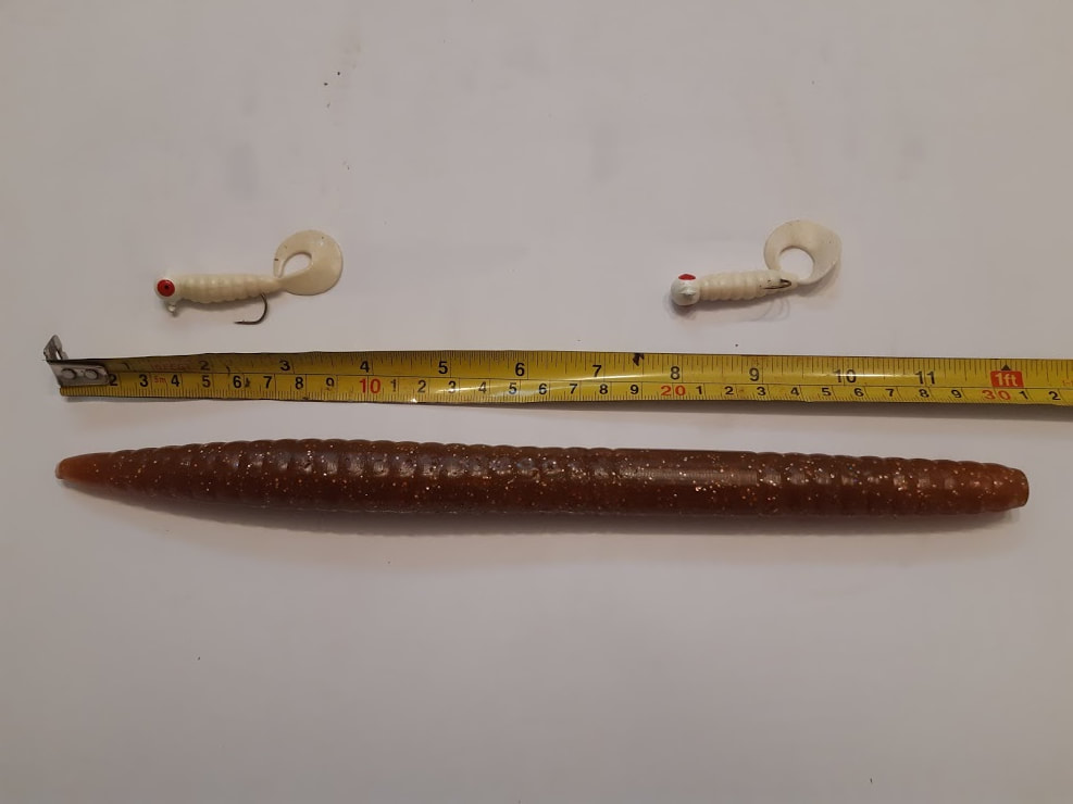 Texas Rigged Worms